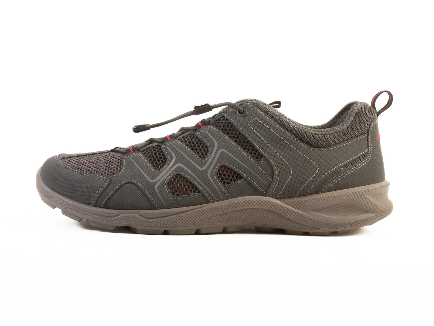 Ecco Grey Hiking Shoes