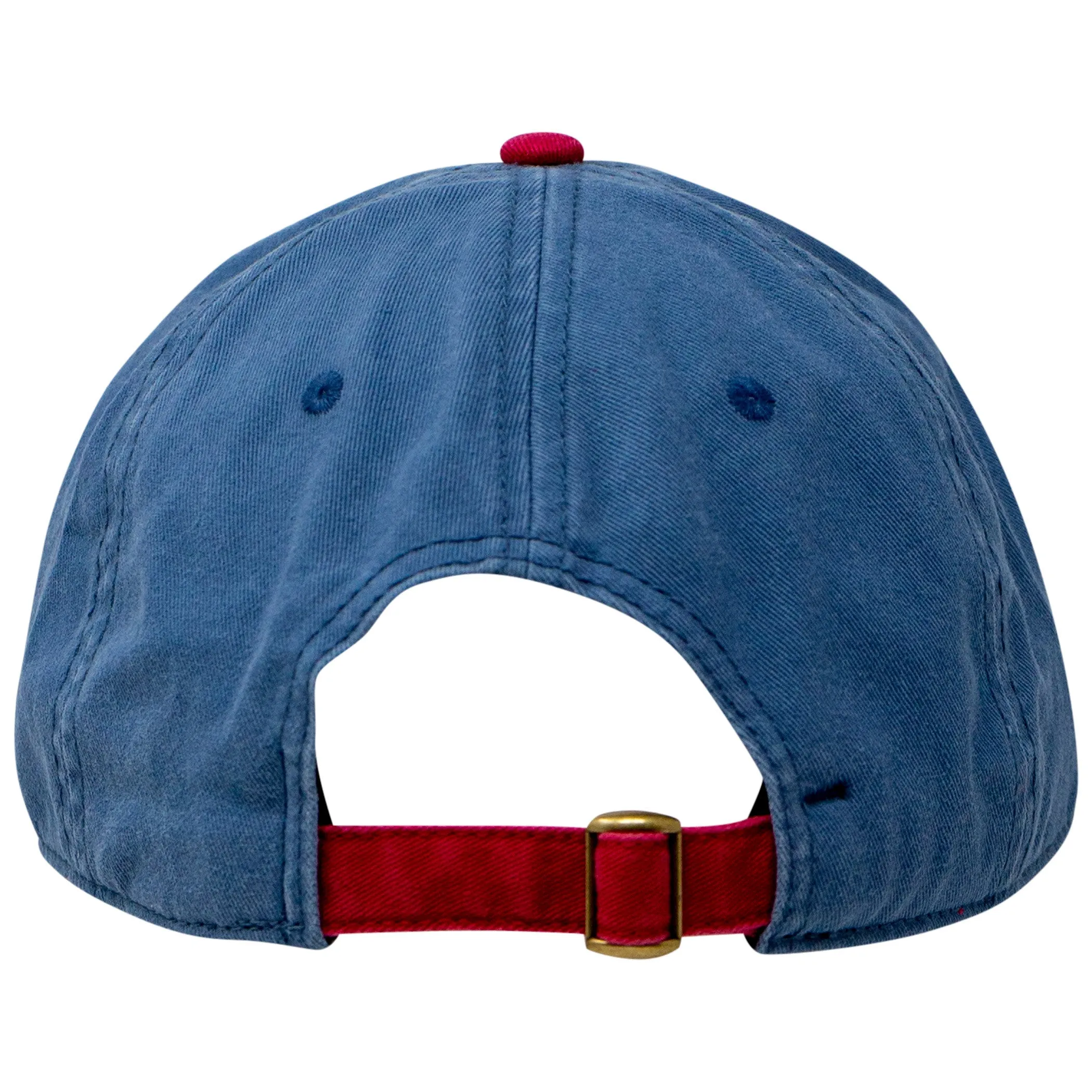 New Belgium Brewing Adjustable Dad Hat